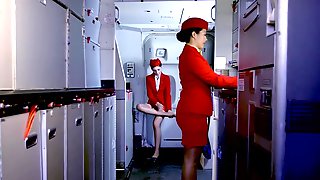 beauty,bottle,secretary,stewardess